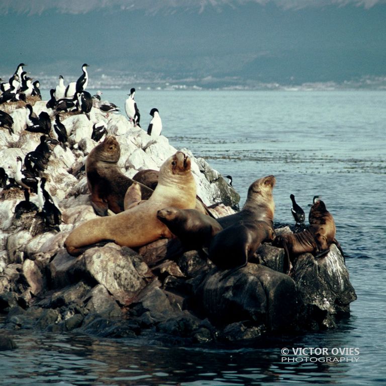 Tierra de Fuego (4).jpg